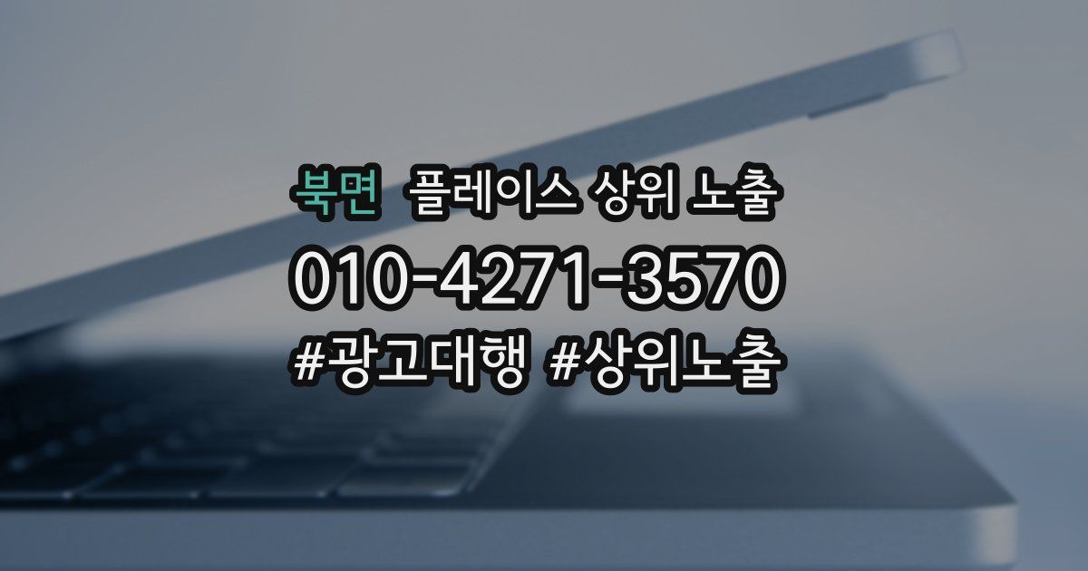 북면 플레이스 상위 노출