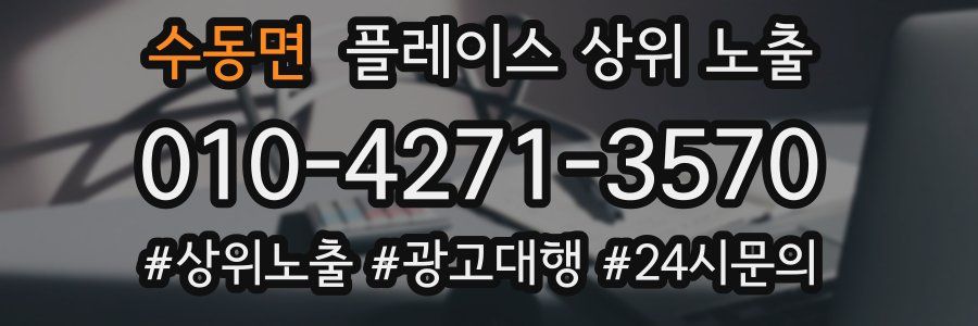 수동면 플레이스 상위 노출