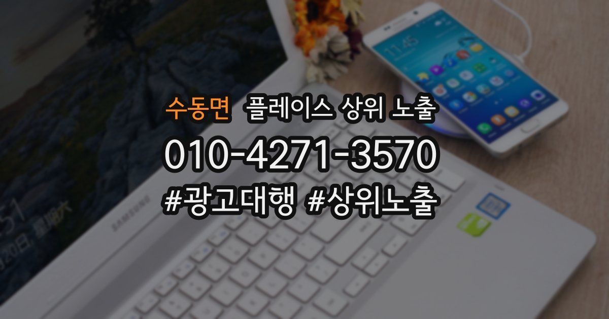 수동면 플레이스 상위 노출