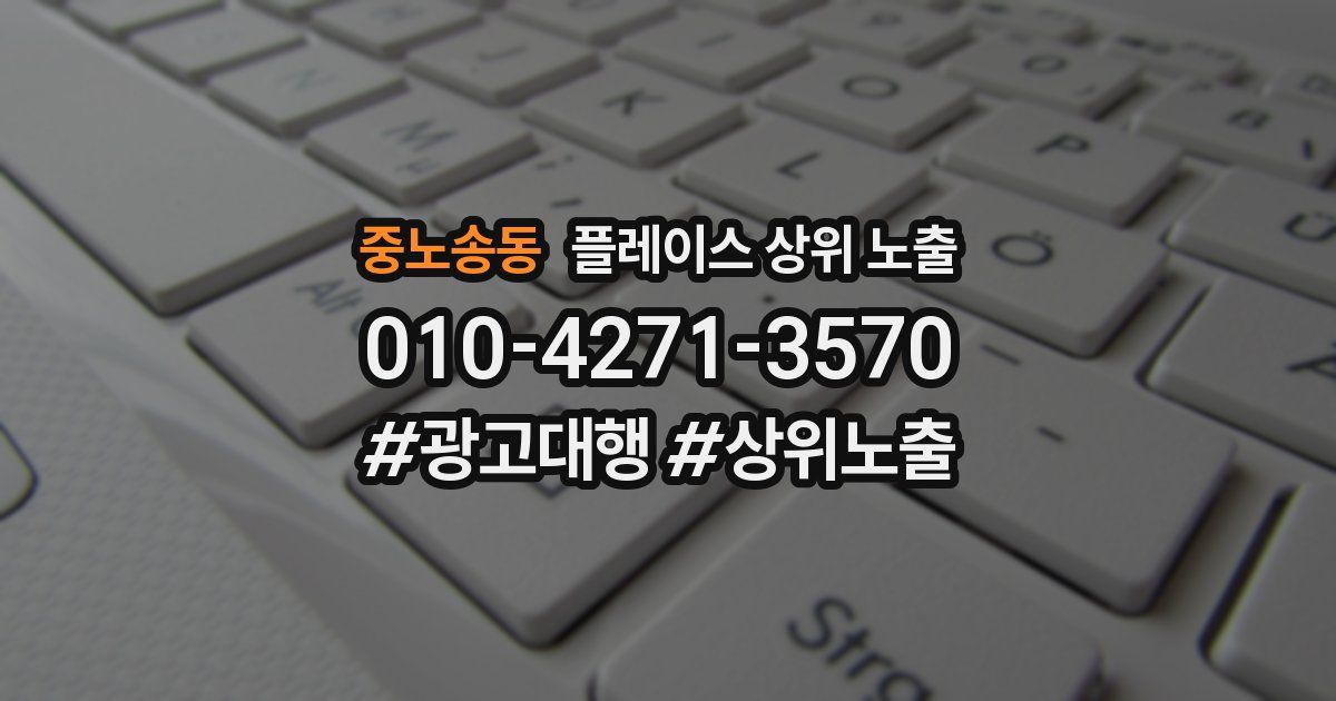 중노송동 플레이스 상위 노출