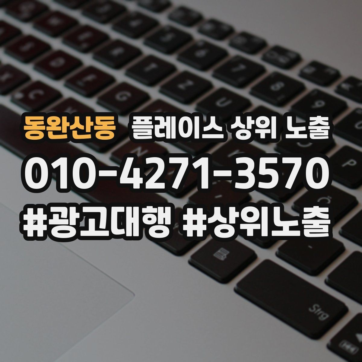 동완산동 플레이스 상위 노출 새소식 업데이트로 신뢰를 올리는 방법