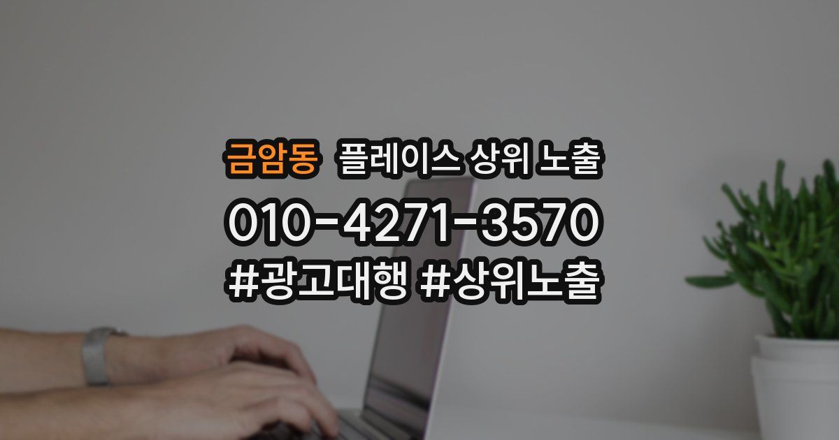 금암동 플레이스 상위 노출