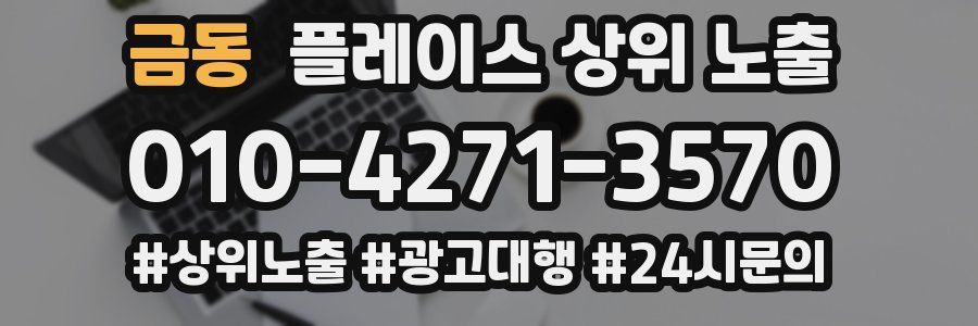 금동 플레이스 상위 노출