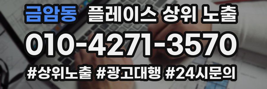 금암동 플레이스 상위 노출