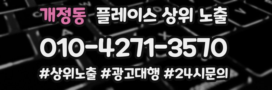 개정동 플레이스 상위 노출