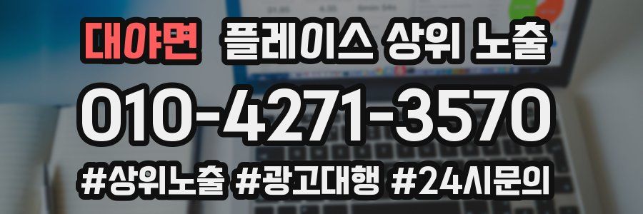 대야면 플레이스 상위 노출