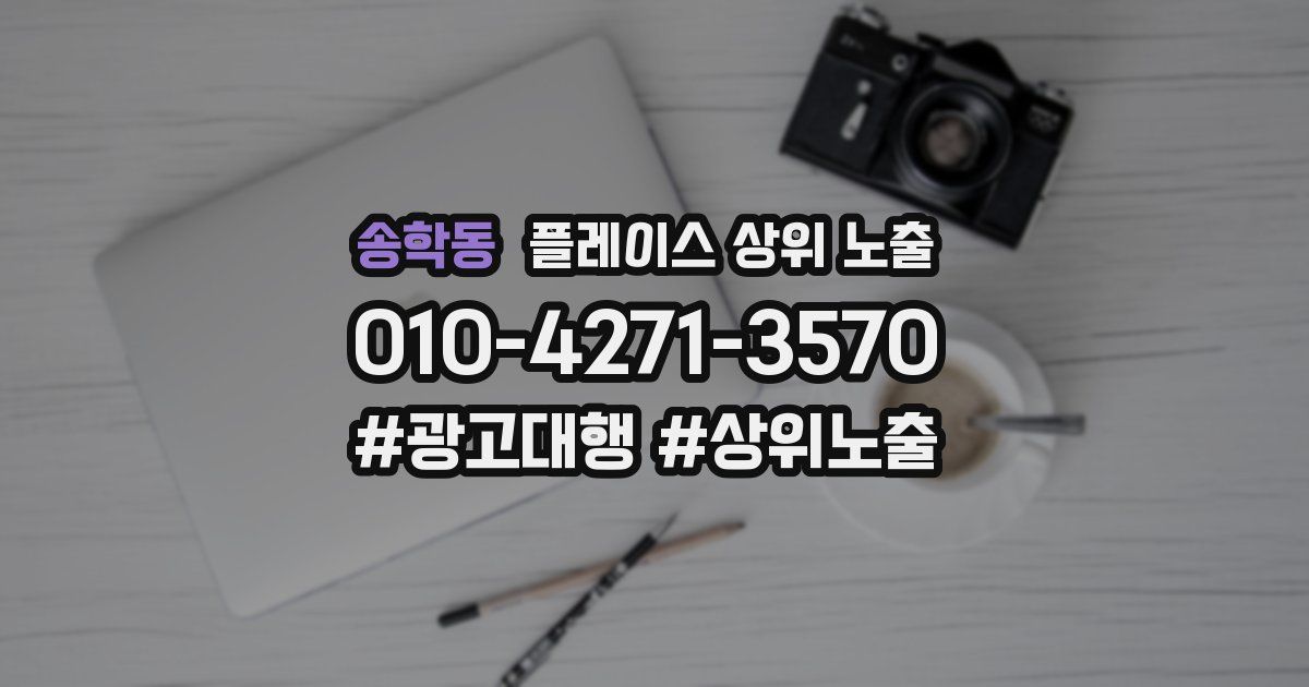 송학동 플레이스 상위 노출