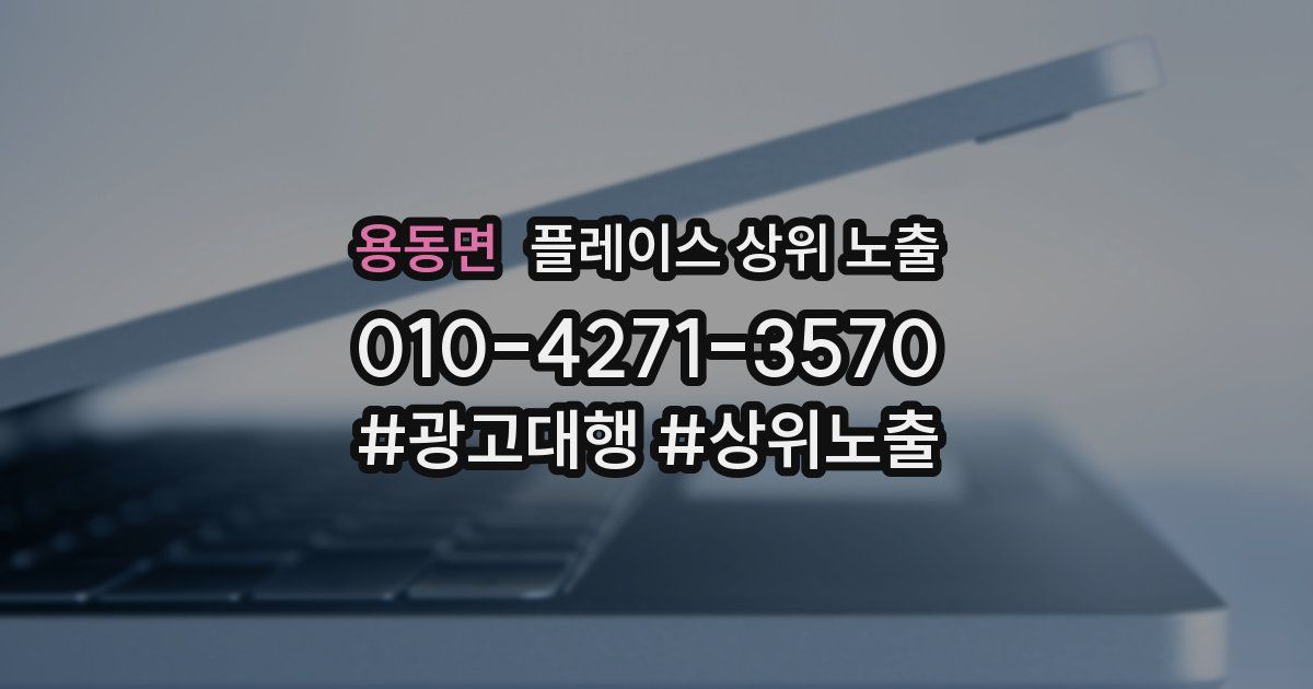 용동면 플레이스 상위 노출