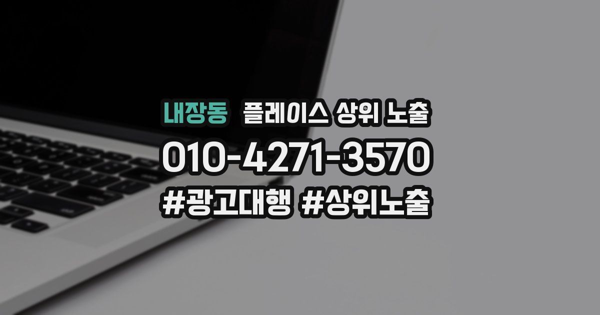 내장동 플레이스 상위 노출