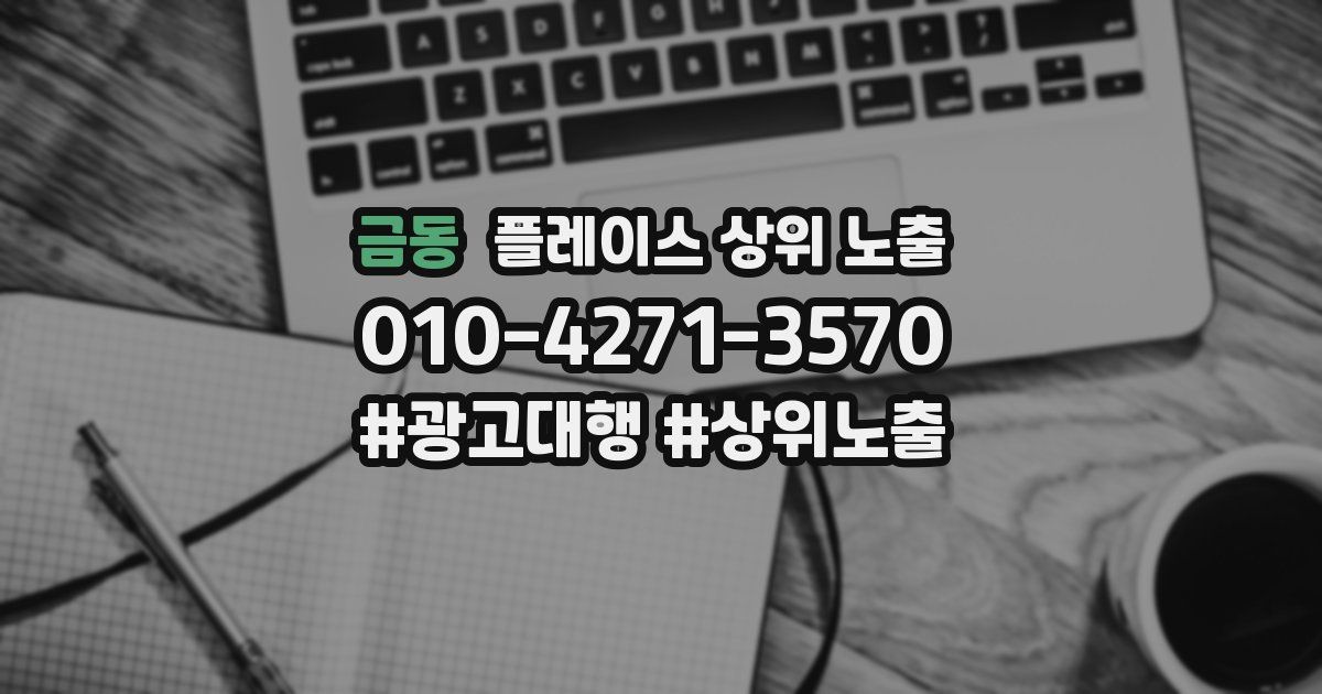금동 플레이스 상위 노출