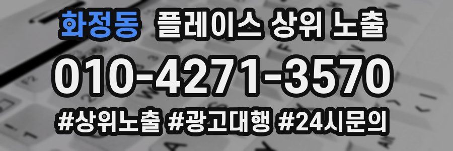 화정동 플레이스 상위 노출
