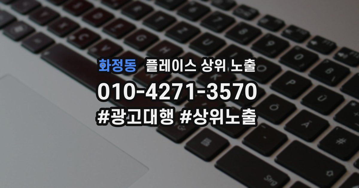 화정동 플레이스 상위 노출