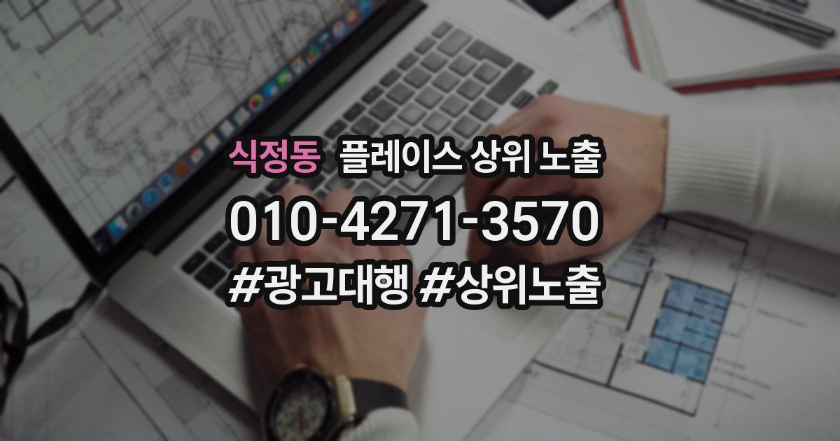 식정동 플레이스 상위 노출