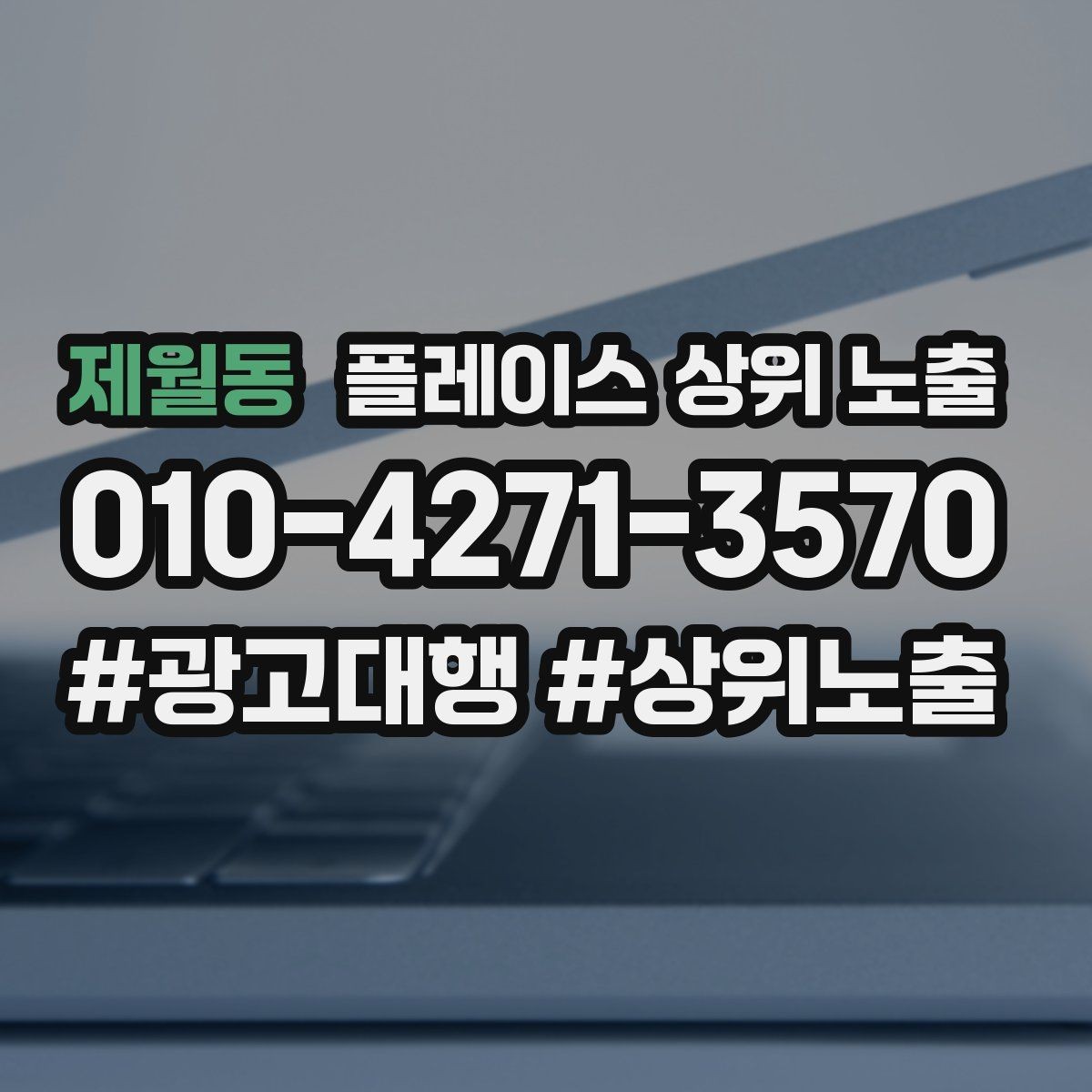 제월동 플레이스 상위 노출 시즌별 키워드로 반응을 올리는 방법