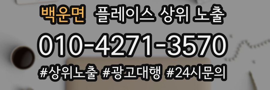 백운면 플레이스 상위 노출