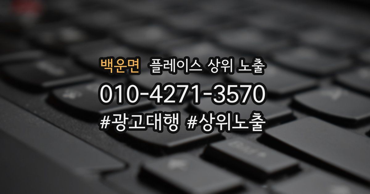 백운면 플레이스 상위 노출