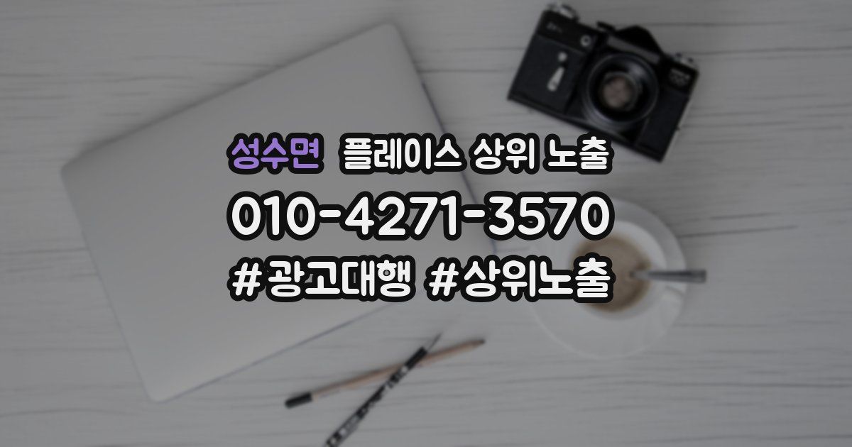 성수면 플레이스 상위 노출
