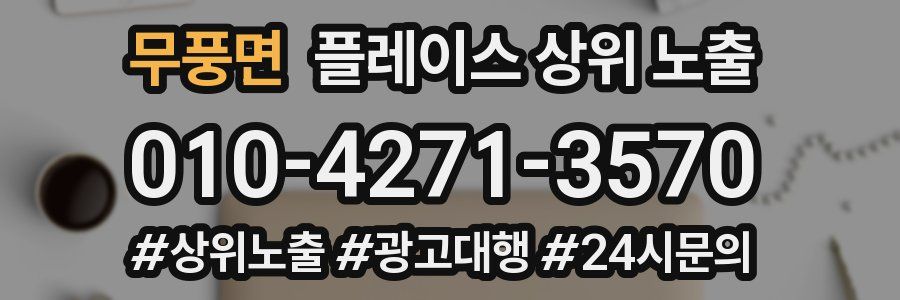 무풍면 플레이스 상위 노출