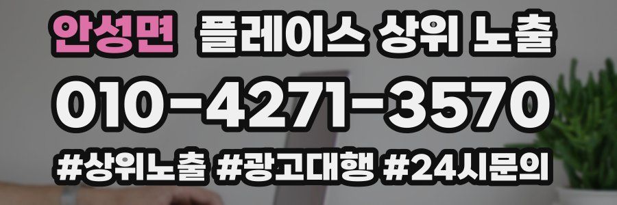 안성면 플레이스 상위 노출