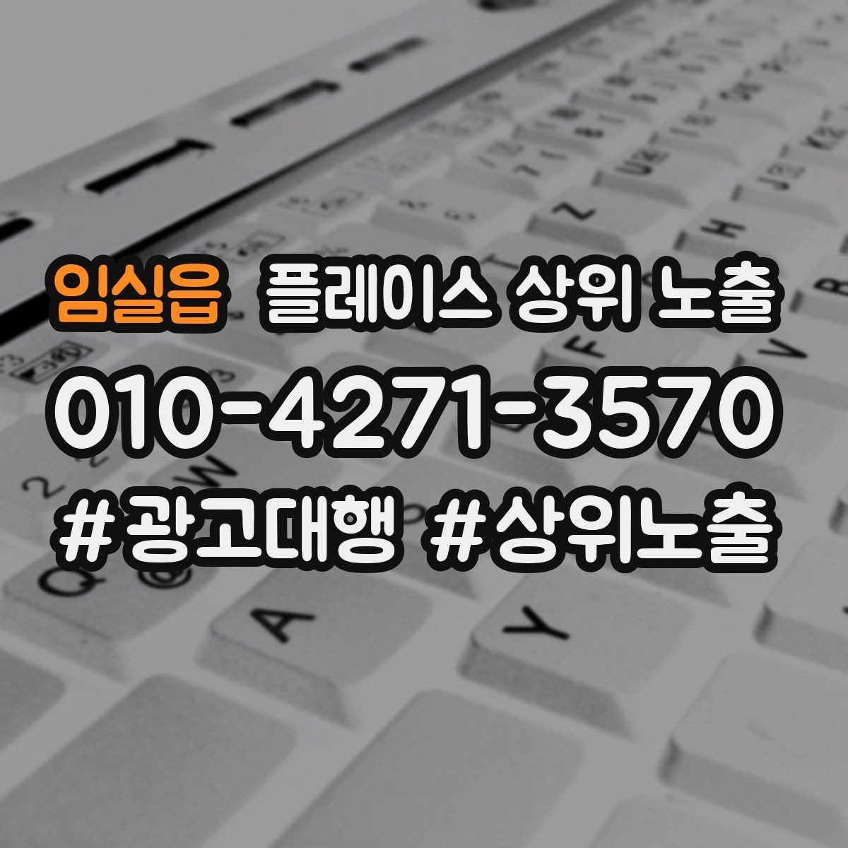 임실읍 플레이스 상위 노출 긴급 수요 업종의 프로필 구성 포인트