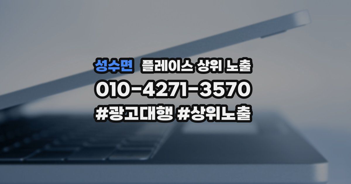 성수면 플레이스 상위 노출