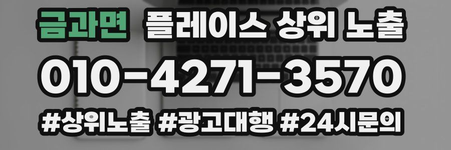 금과면 플레이스 상위 노출