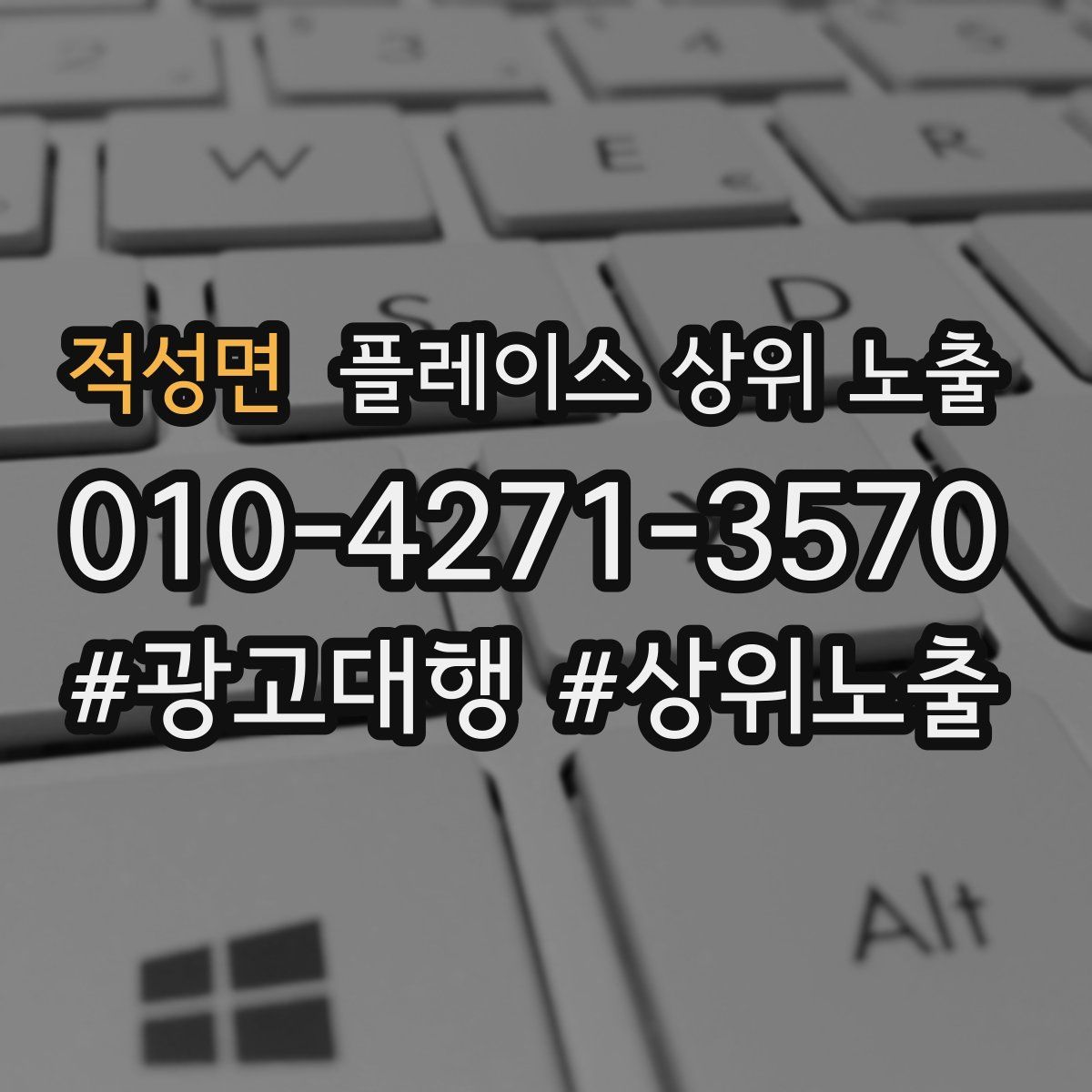 적성면 플레이스 상위 노출
