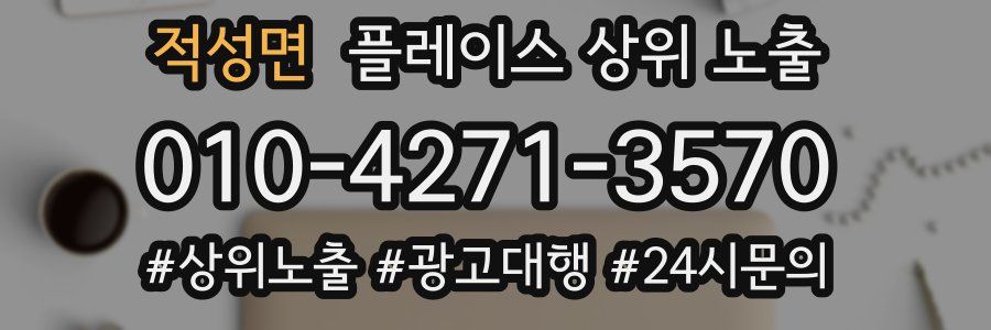 적성면 플레이스 상위 노출