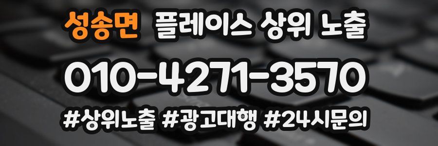 성송면 플레이스 상위 노출