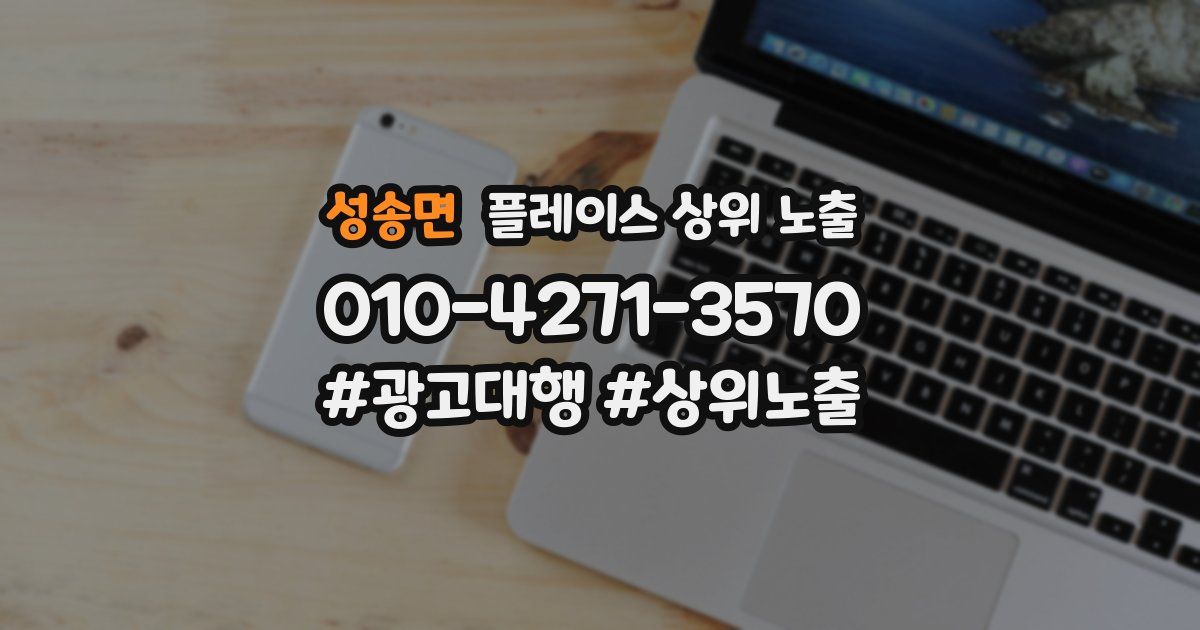 성송면 플레이스 상위 노출