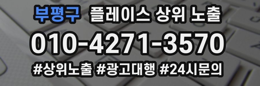 부평구 플레이스 상위 노출