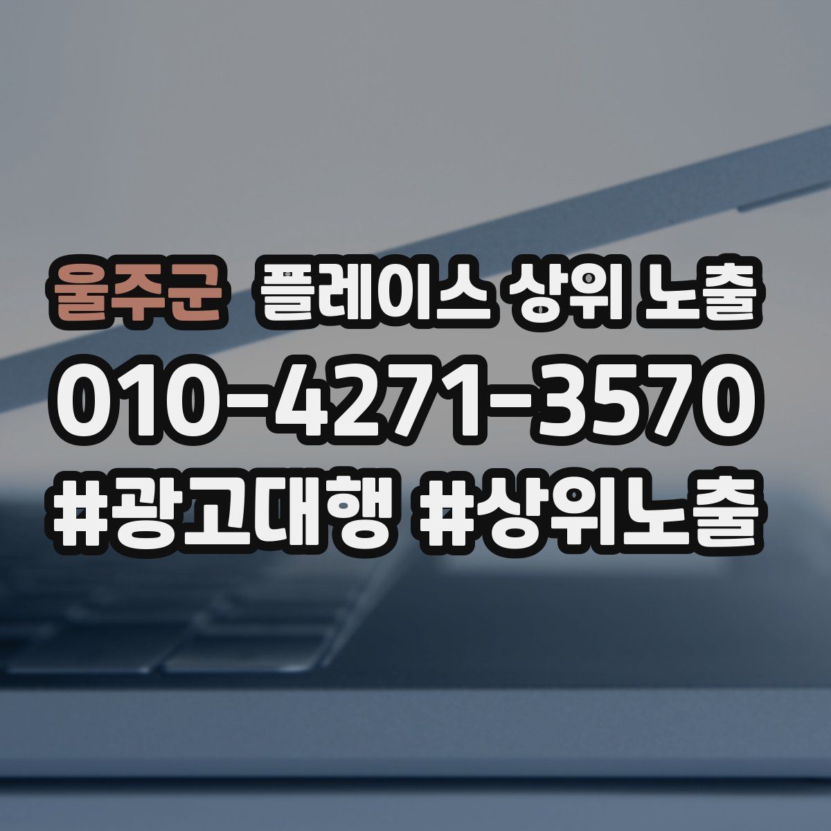 울주군 플레이스 상위 노출