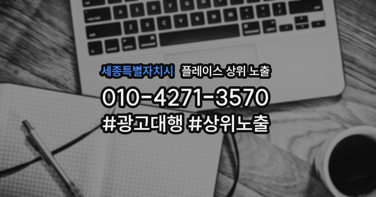 세종특별자치시 플레이스 상위 노출