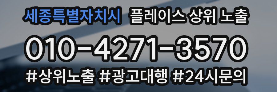 세종특별자치시 플레이스 상위 노출