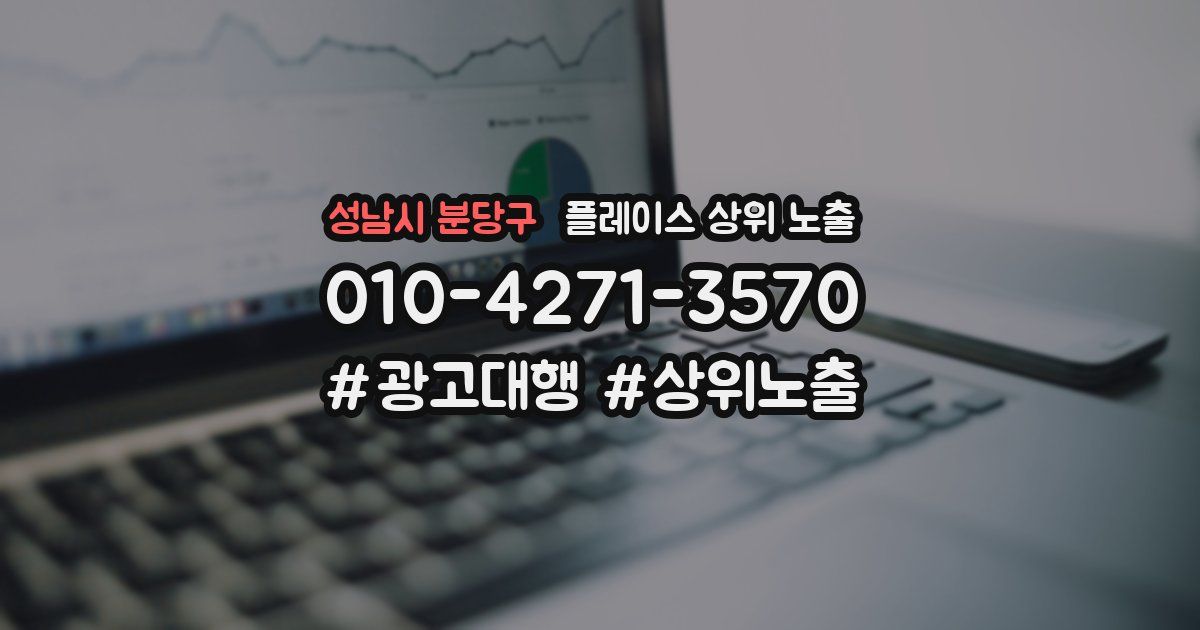 성남시 분당구 플레이스 상위 노출