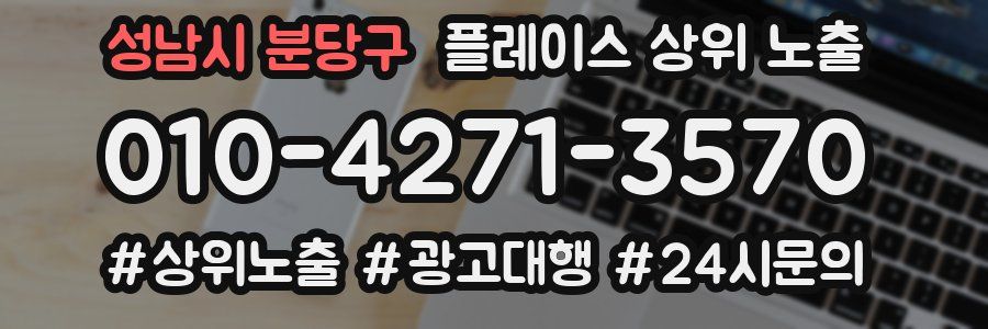 성남시 분당구 플레이스 상위 노출