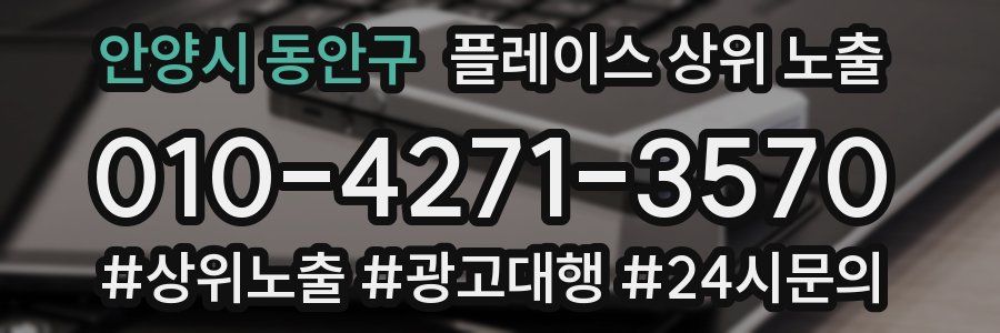 안양시 동안구 플레이스 상위 노출