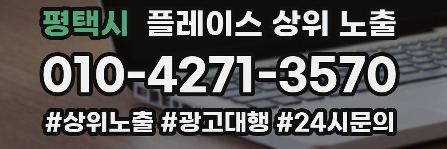 평택시 플레이스 상위 노출