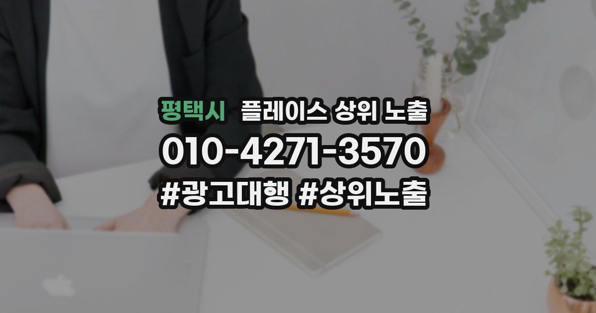 평택시 플레이스 상위 노출