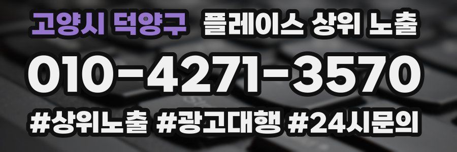 고양시 덕양구 플레이스 상위 노출