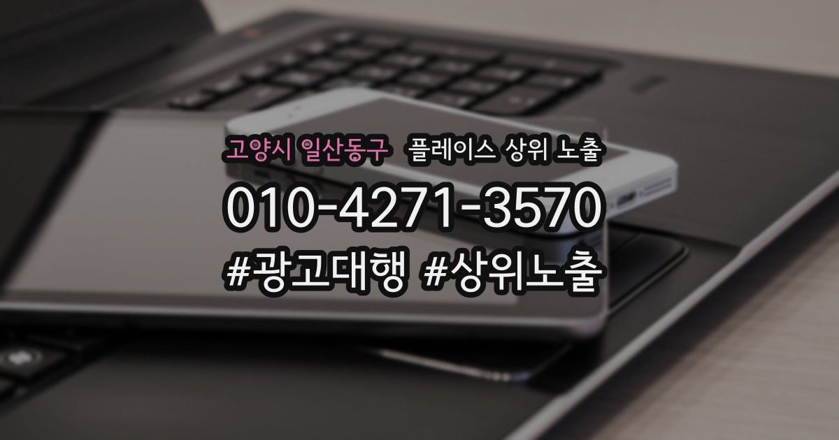 고양시 일산동구 플레이스 상위 노출