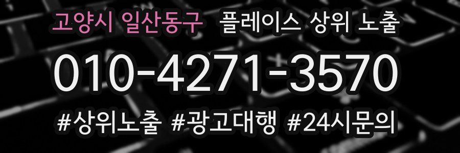 고양시 일산동구 플레이스 상위 노출