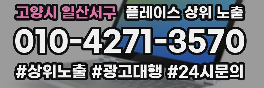 고양시 일산서구 플레이스 상위 노출