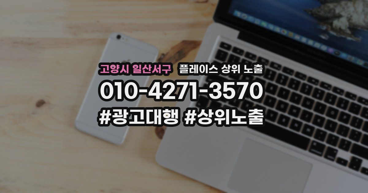 고양시 일산서구 플레이스 상위 노출
