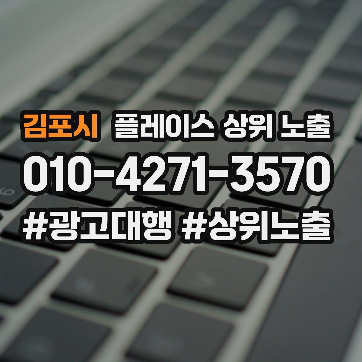 김포시 플레이스 상위 노출 자연스러운 키워드 배치로 신뢰를 높이는 법