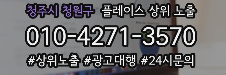 청주시 청원구 플레이스 상위 노출