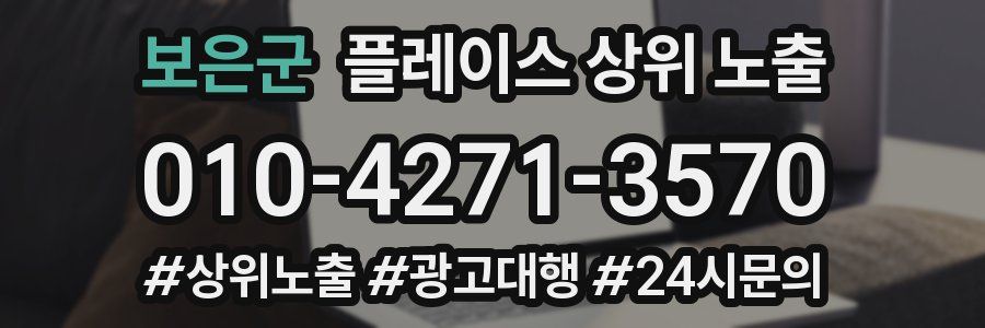 보은군 플레이스 상위 노출