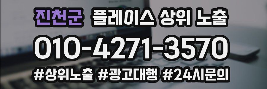 진천군 플레이스 상위 노출