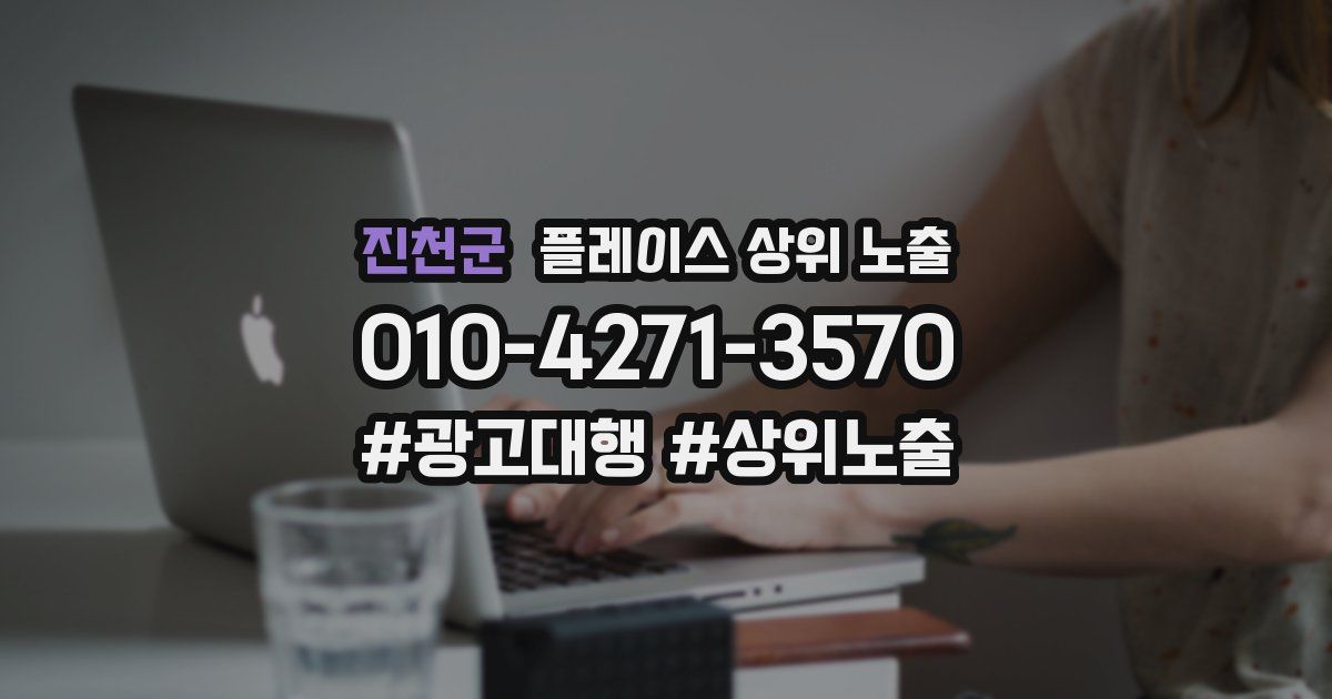 진천군 플레이스 상위 노출