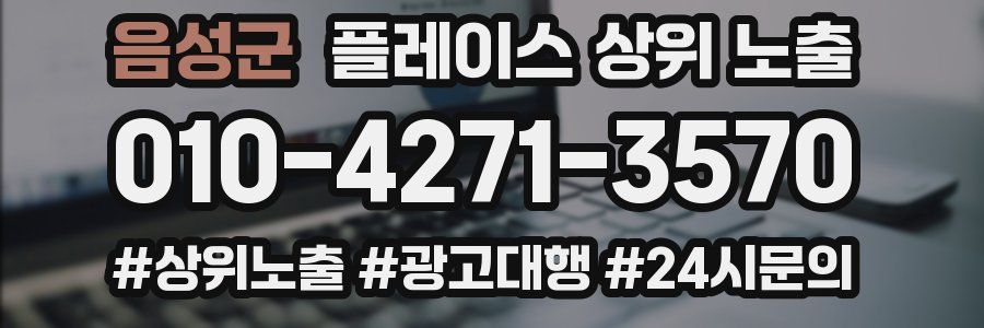 음성군 플레이스 상위 노출